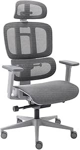 Cadeira ergonômica para home office